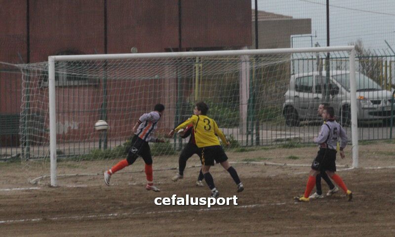 120310 stefanese 099y_tn.jpg